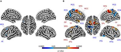 Altered Brain Structure in Chronic Visceral Pain: Specific Differences in Gray Matter Volume and Associations With Visceral Symptoms and Chronic Stress